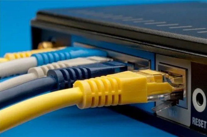 Cat8 Cable.jpg